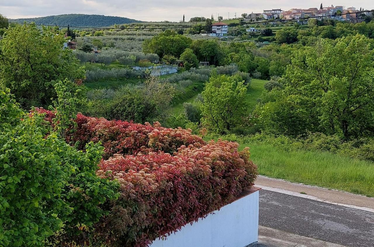 Aliana Apartment Сечовле Экстерьер фото